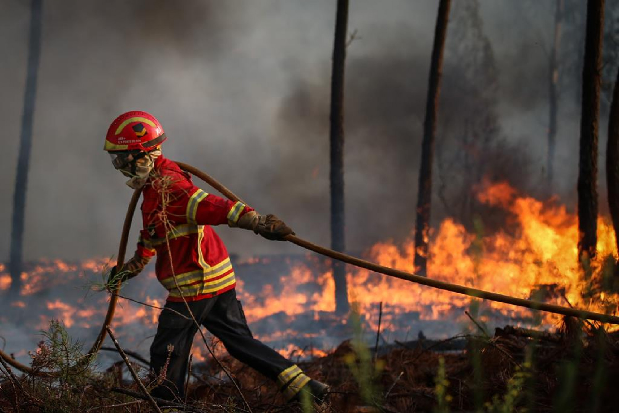 Várias pessoas retiradas preventivamente devido a fogo em ...